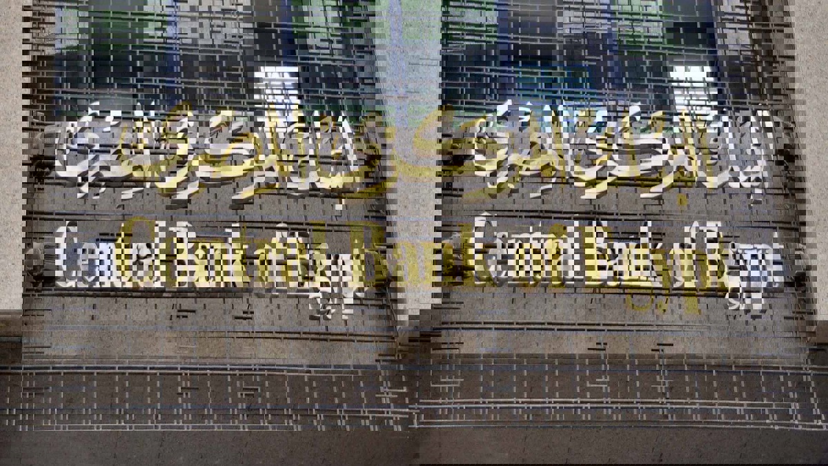 ارتفاع احتياطي النقد الأجنبي في مصر لـ44.11 مليار دولار‎