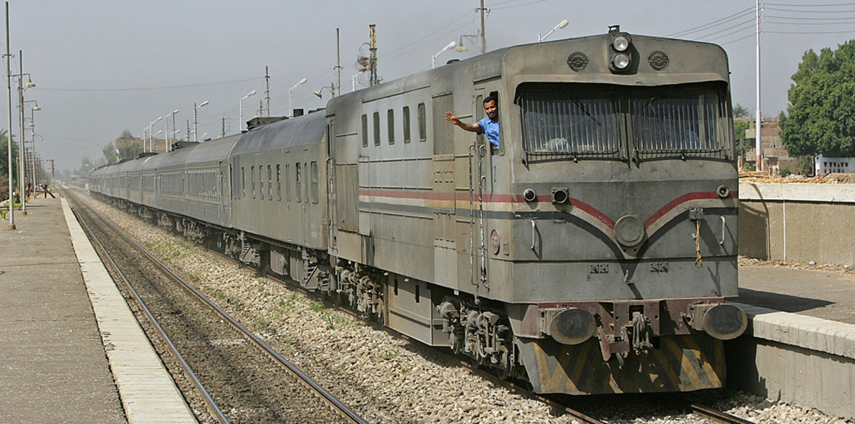 "حمار وجاموسة" يعطلان خط سكك حديدية بمصر