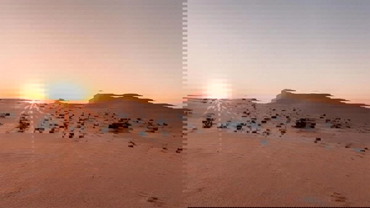 سعودي ونجله افترقا بالصحراء "كي لا يرى أحدهما موت الآخر"