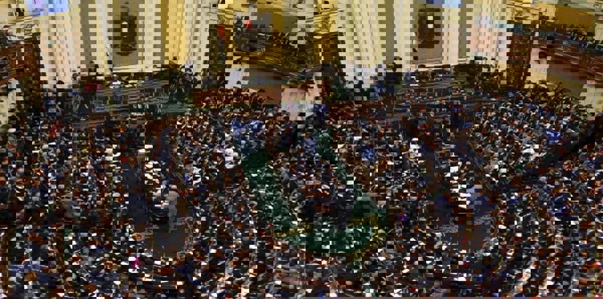 مجلس النواب المصري يوافق على تعيين محمد علي الشيخ وزيرا للتموين