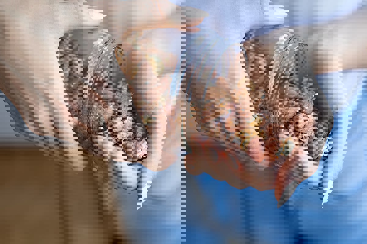 أنواع المكسرات المناسبة لأهدافك الصحية