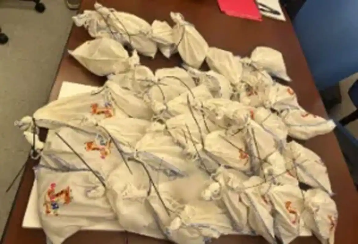 ضبط سائق حاول تهريب عشرات الثعابين إلى المكسيك