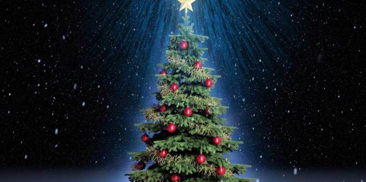 بالفيديو.. إضاءة شجرة عيد الميلاد العملاقة في نيويورك