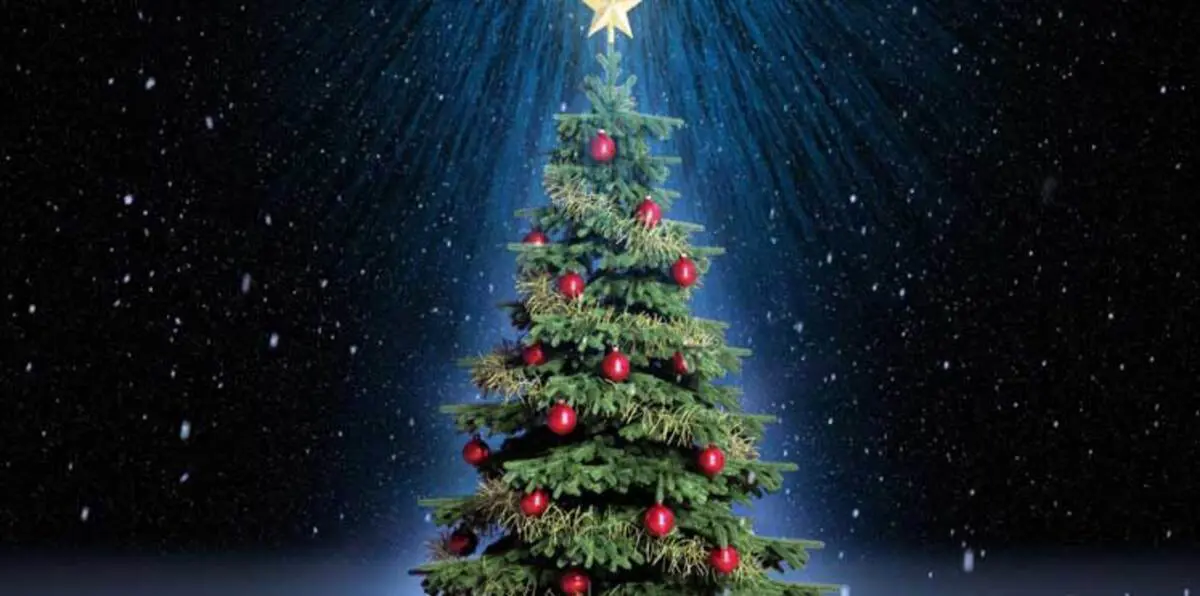 بالفيديو.. إضاءة شجرة عيد الميلاد العملاقة في نيويورك