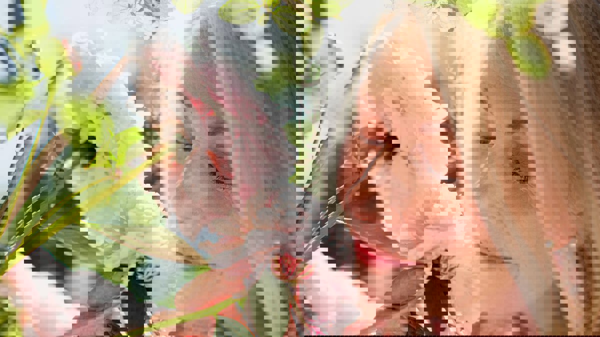 علماء يطورون غرسة تحفز الدماغ لاستعادة حاسة الشم