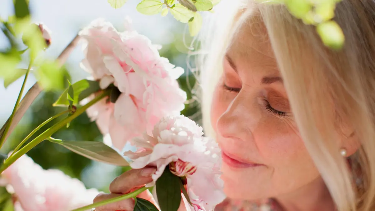 علماء يطورون غرسة تحفز الدماغ لاستعادة حاسة الشم