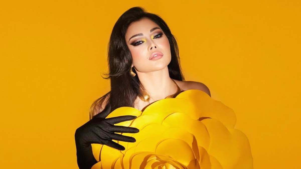 تفاصيل قرار منع هيفاء وهبي من الغناء في مصر