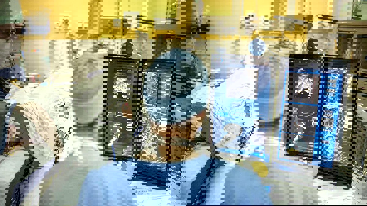 دراستان تبشران بتقدم واعد في علاج سرطانَيْ البروستاتا والثدي