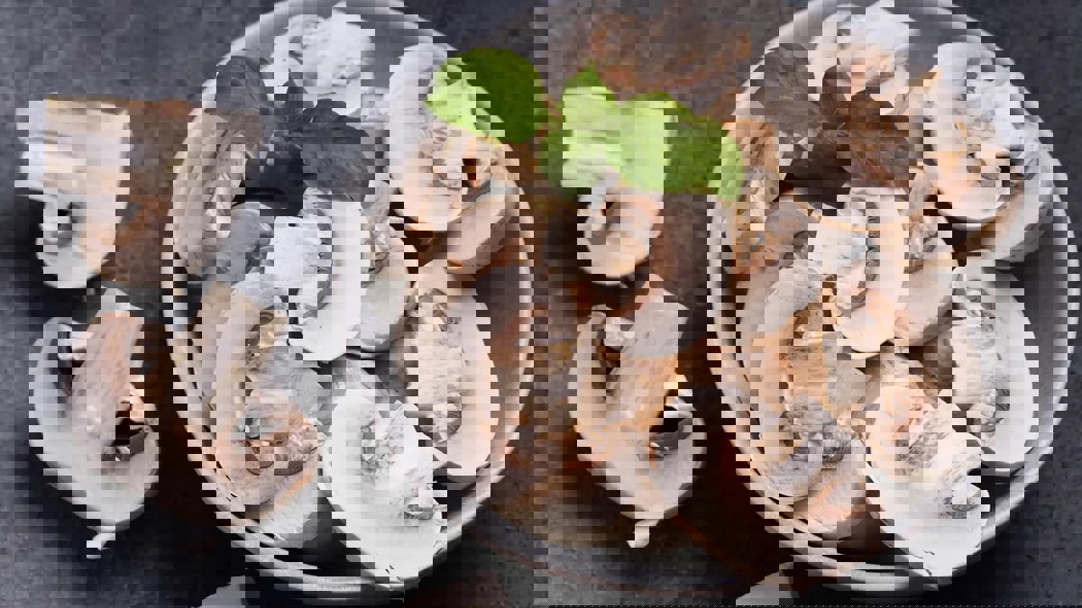 تناول الفطر يساعد على خفض الكولسترول الضار