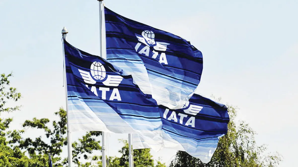 "إياتا" يحث مجموعة العشرين على دعم صناعة الطيران‎