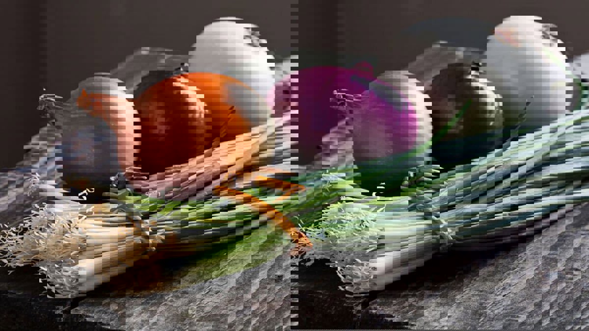 دراسة: البصل يقوي العظام ويقلل من خطر الكسور