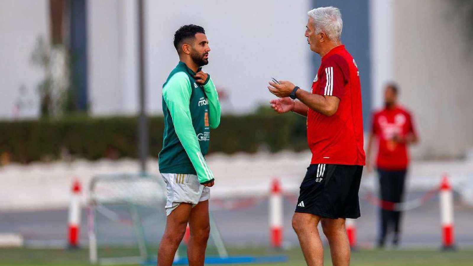 مدرب الجزائر يكشف "ما يحتاجه الفريق" قبل مواجهة نيجيريا 