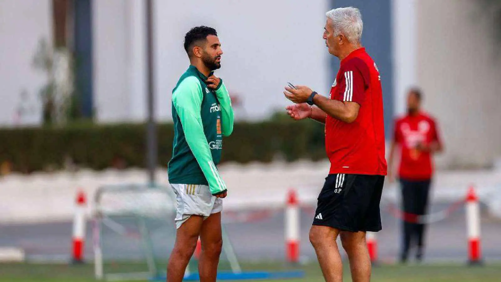 مدرب الجزائر يكشف "ما يحتاجه الفريق" قبل مواجهة نيجيريا