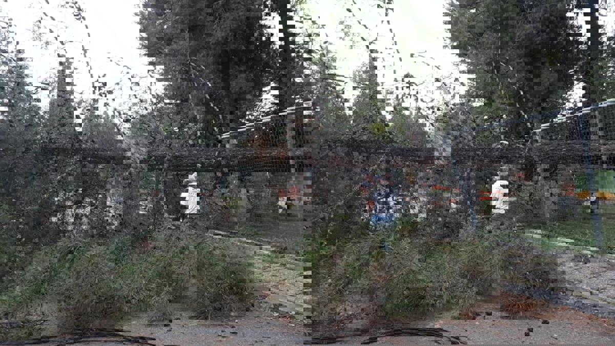 مقتل 6 سياح أجانب جراء الطقس السيئ في اليونان