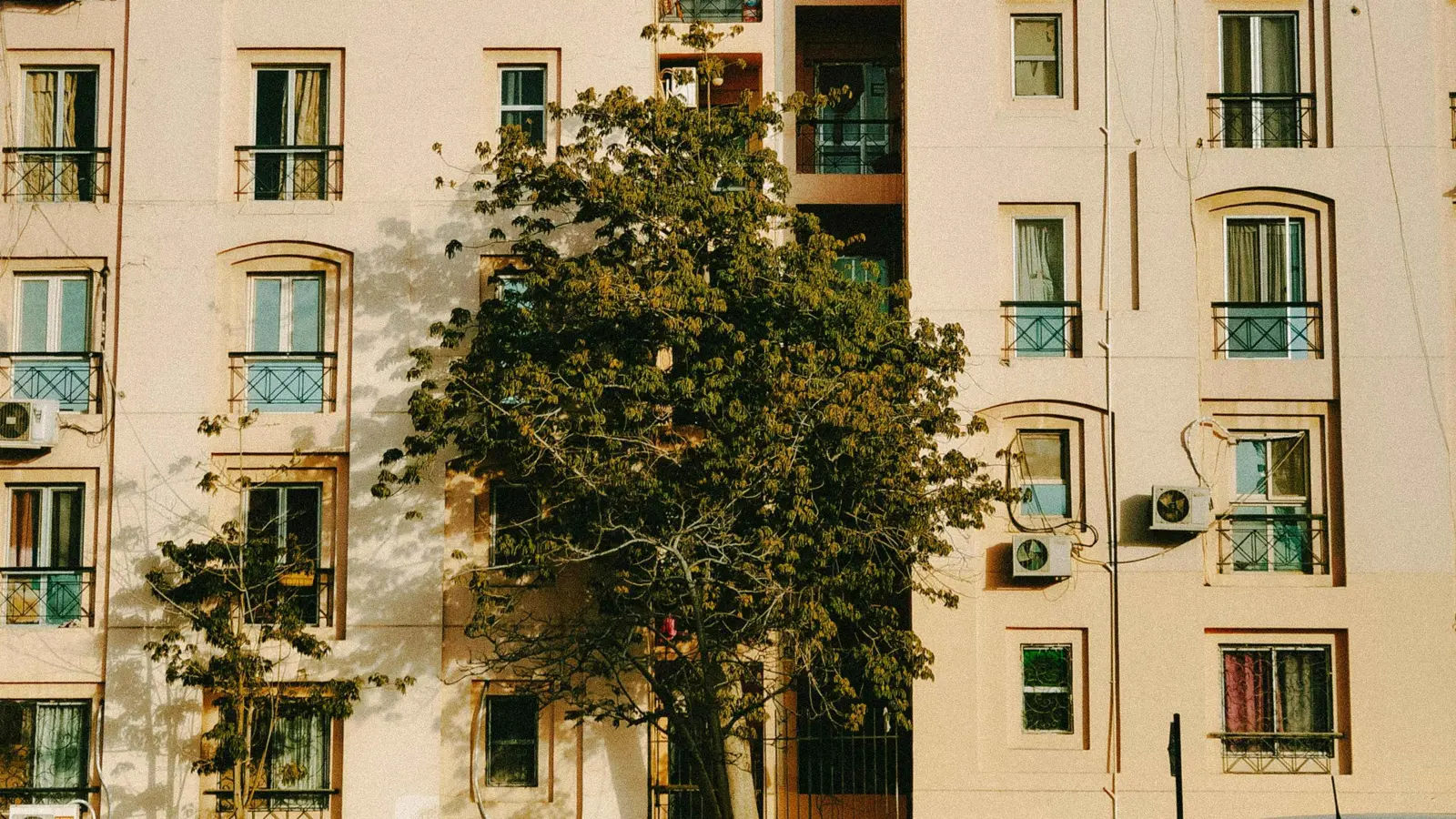 مصر.. طعن زوجته ثم رماها من الطابق الثالث