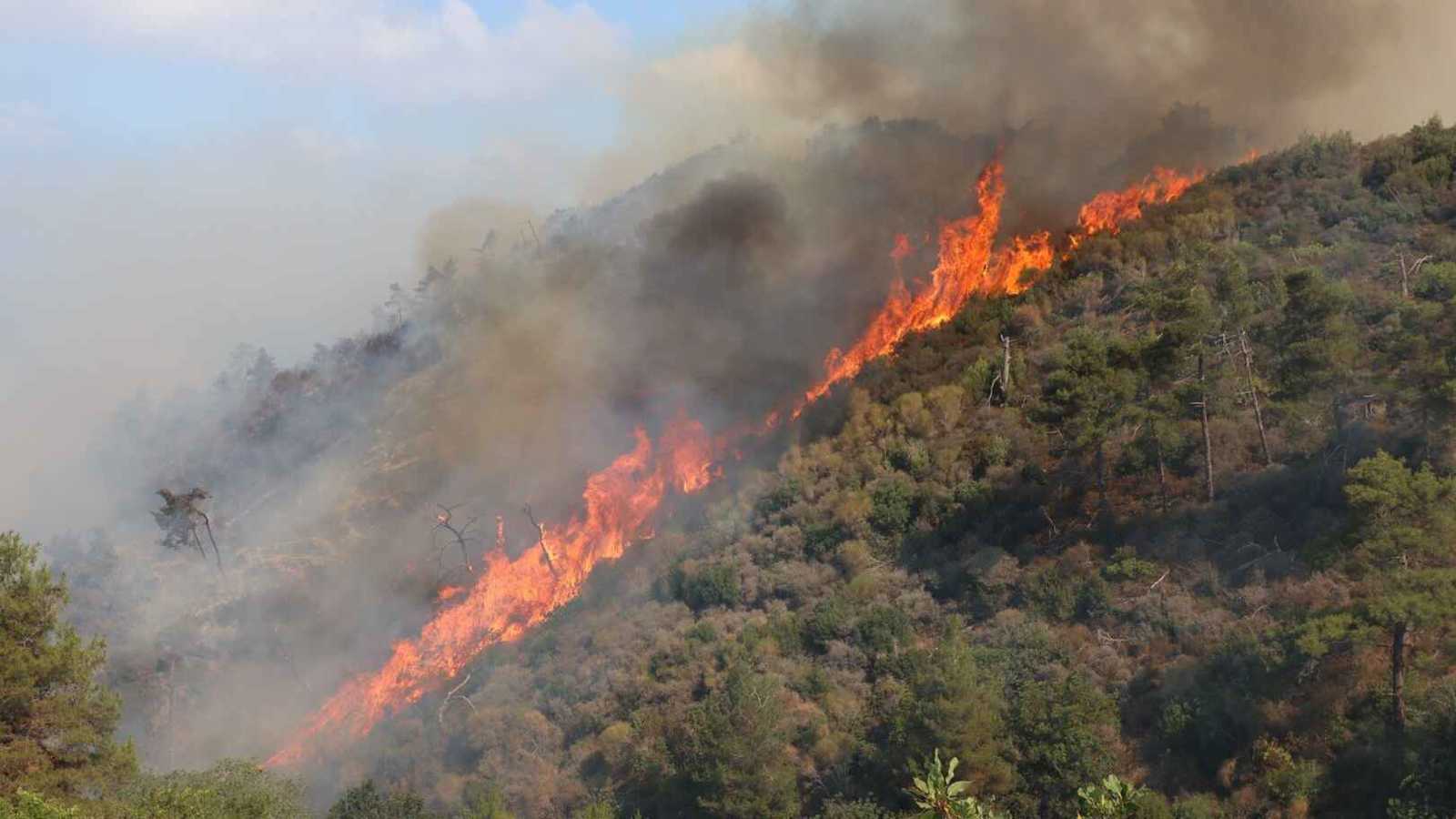 إخماد معظم حرائق سوريا والأرصاد تبشّر بهطول الأمطار