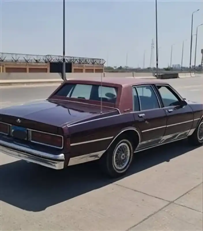 السيارة المتداولة