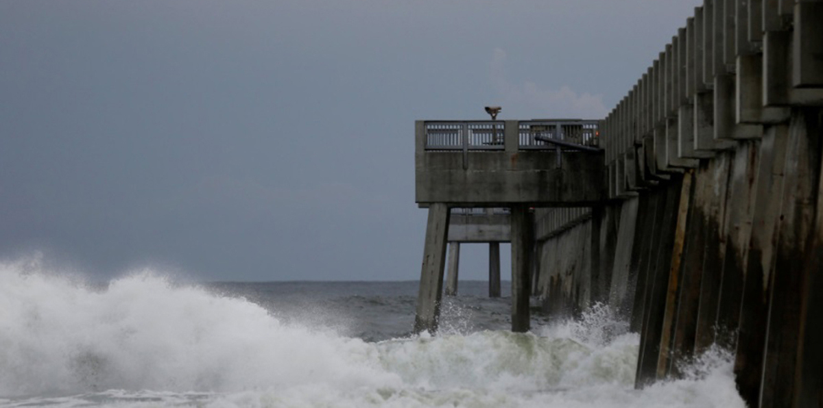 سقوط أول قتيل في فلوريدا جراء الإعصار "مايكل" (فيديو)