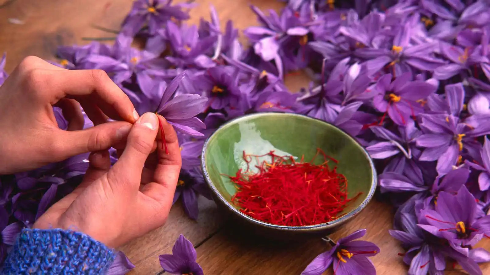 "صيدلية طبيعية".. العلم يكشف أسرارا تتجاوز مذاق الزعفران اللذيذ