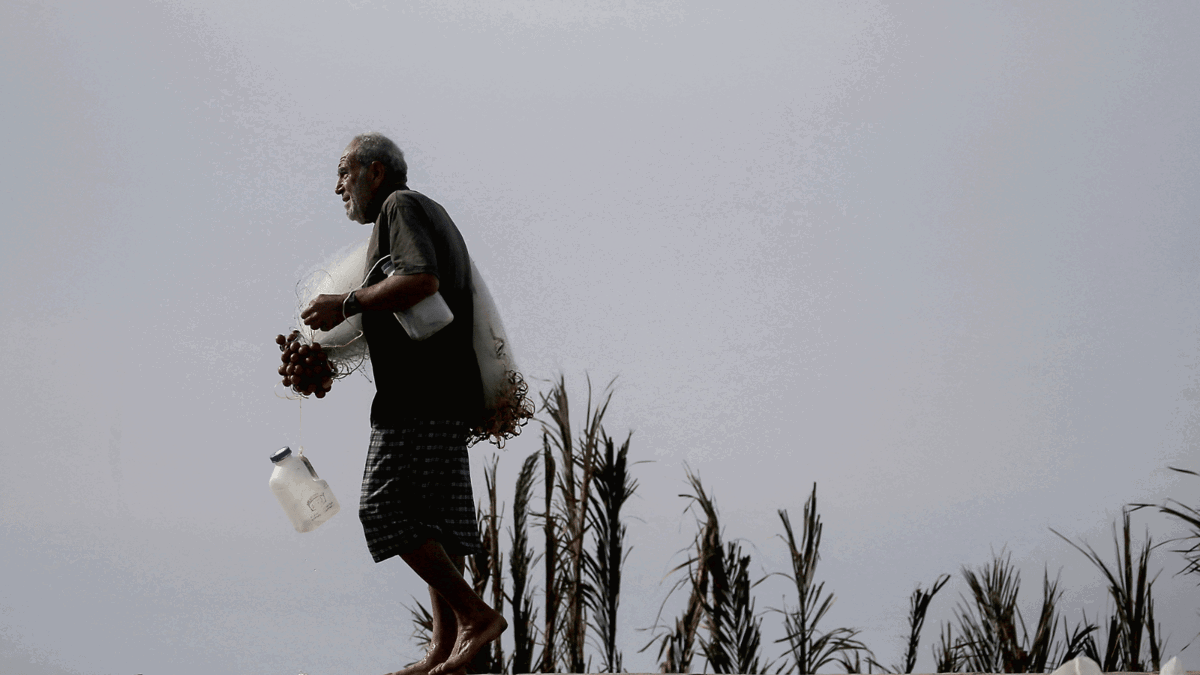 الحرب في غزة تُدمر مهنة الصيد "المتهالكة" 
