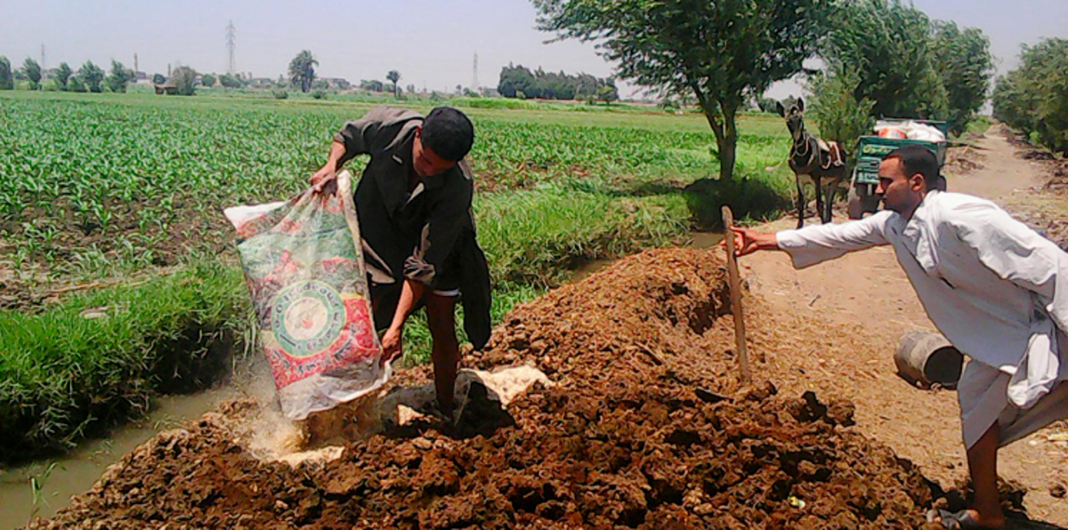 السوق السوداء تعمق أزمة السماد في مصر وسط تذمر الفلاحين
