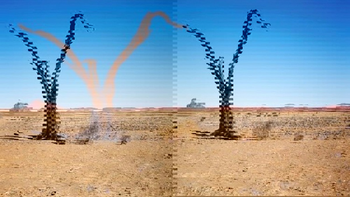 علماء يكشفون أحد أسباب التغير المناخي والانقراض
