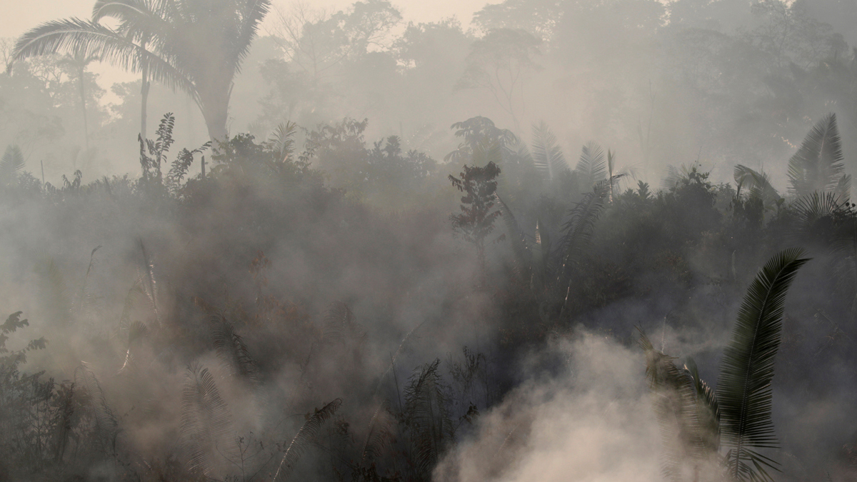 الجيش البرازيلي يتدخل لمكافحة حرائق الأمازون.. وترامب يعرض المساعدة
