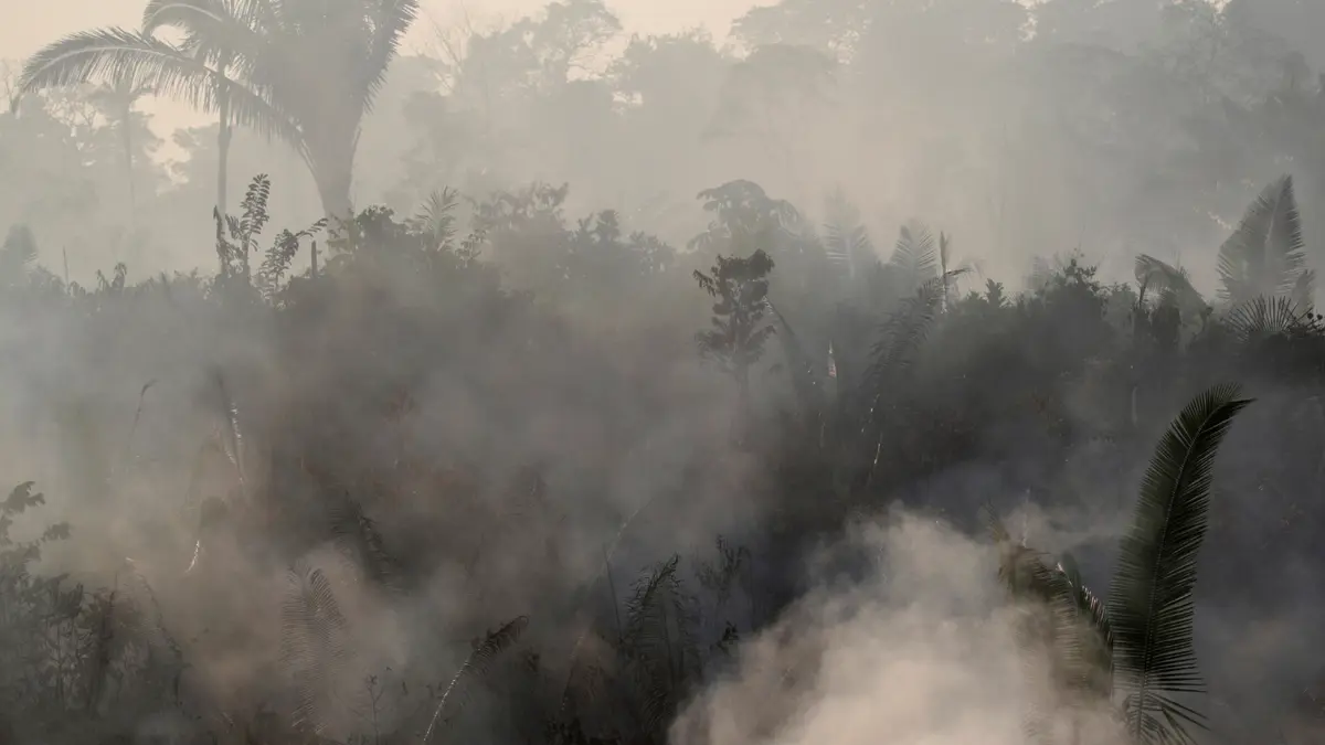الجيش البرازيلي يتدخل لمكافحة حرائق الأمازون.. وترامب يعرض المساعدة
