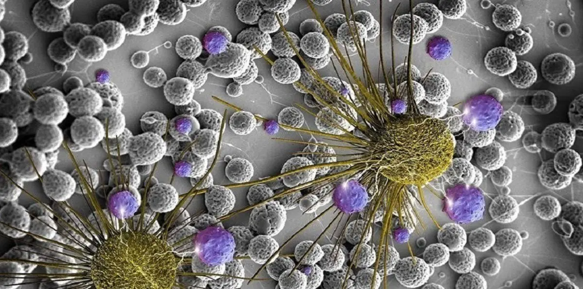 العلماء يكتشفون أسلوبًا جديدًا لإبطاء نمو السرطان