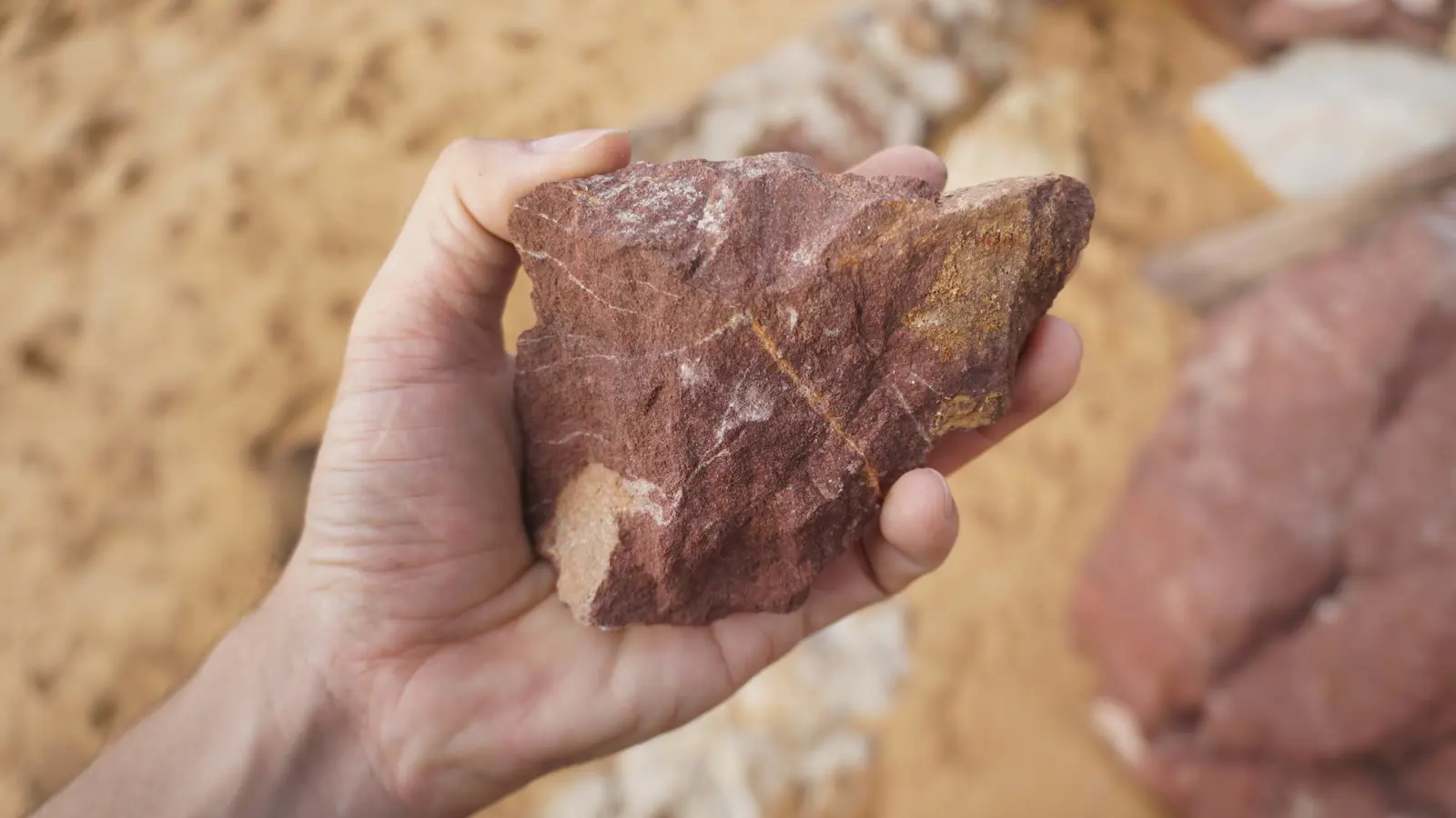 مصر.. شاب يقتل والدته بطريقة "وحشية"