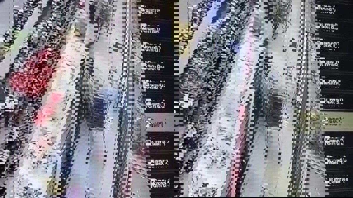 النيابة السعودية تحقق مع وافد تعمد "العطاس" بمتجر في تبوك (فيديو)