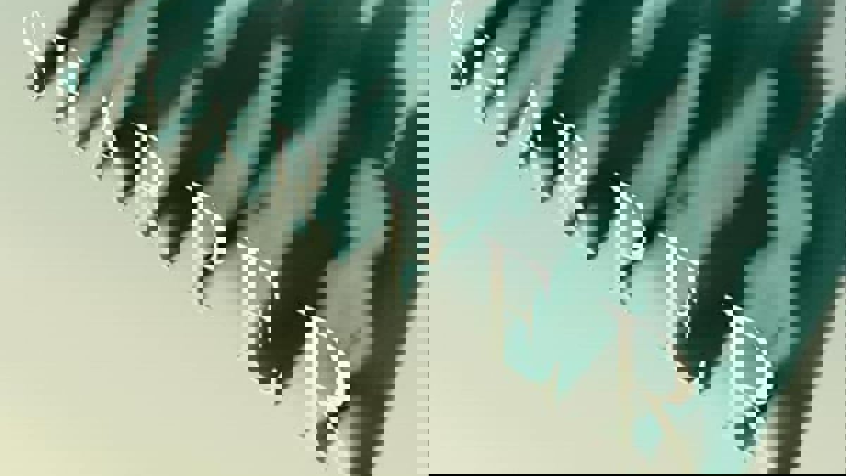 فيلم Sharper.. سلبيات مدينة نيويورك في عمليات الاحتيال