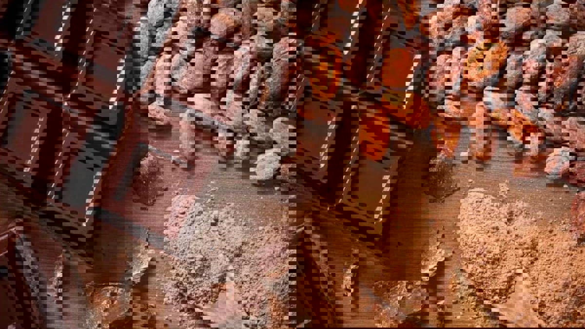 4 أطعمة صحية تحتوي على الدهون لا يجب التوقف عن استهلاكها