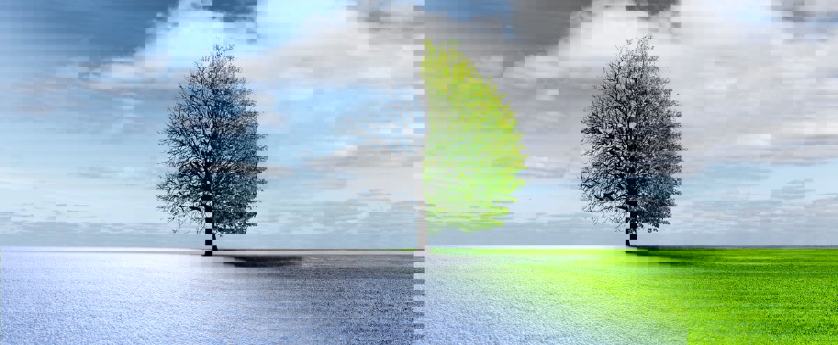 الأوزون التروبوسفيري أحد عوامل الوفاة المبكرة لمرضى القلب والرئتين