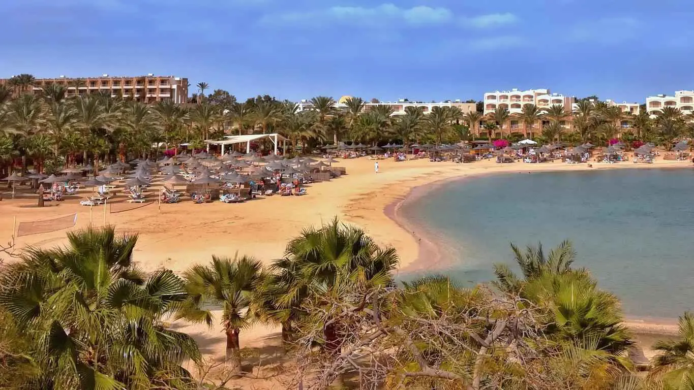 مصر.. ناجون يكشفون سبب غرق زورق مرسى علم (صور)