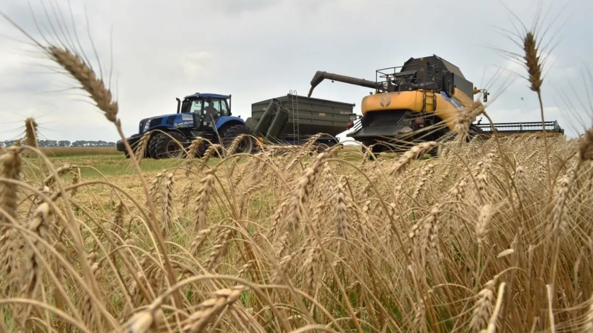 الاتحاد الأوروبي يرفع الرسوم الجمركية على واردات الحبوب الروسية 