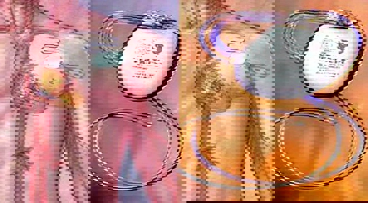 سويسري يبتكر جهازا ذاتي الحركة لتنظيم ضربات القلب