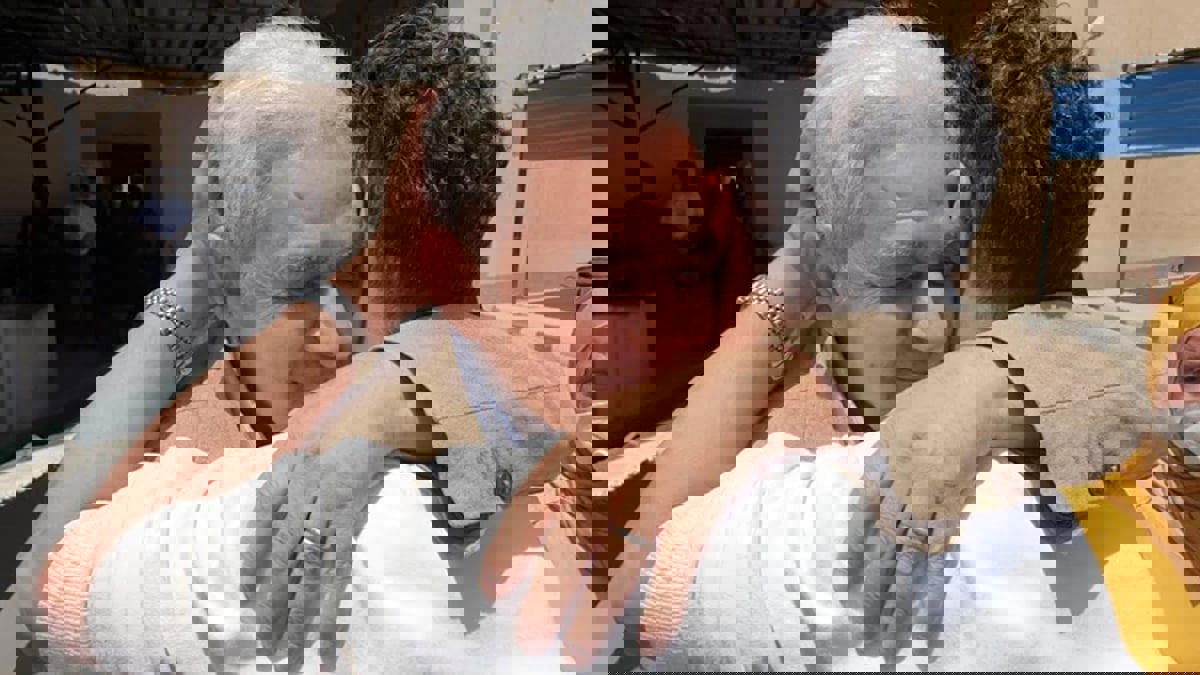 بحضور صباحي وخالد يوسف.. إخلاء سبيل المعارض المصري حسام مؤنس