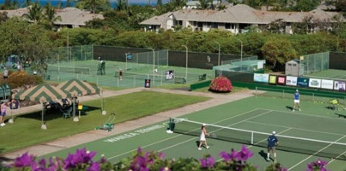 فريق سلوفينيا لسيدات التنس يلغي زيارة لمصر لأسباب أمنية