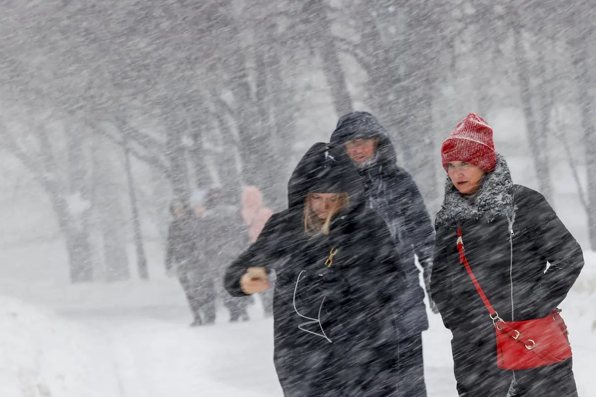 مشاهد نادرة تجبر الروس على السباحة في الثلوج (فيديو)