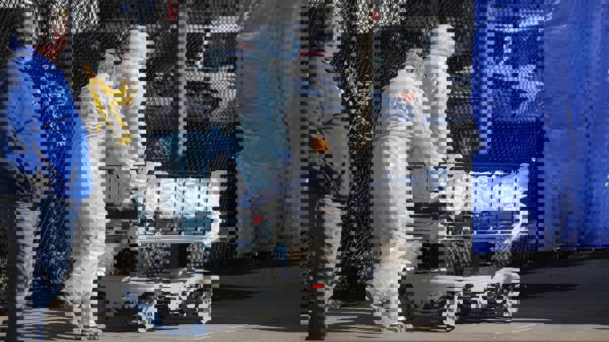 بدلا من تركهم في الشارع.. نيويورك تعلن دفن ضحايا كورونا بالحدائق العامة