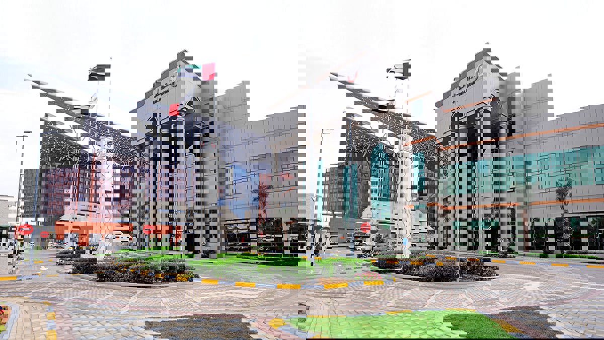 الإمارات.. حبس مالك شركتين ومصادرة نحو 10 ملايين دولار من أموالهما