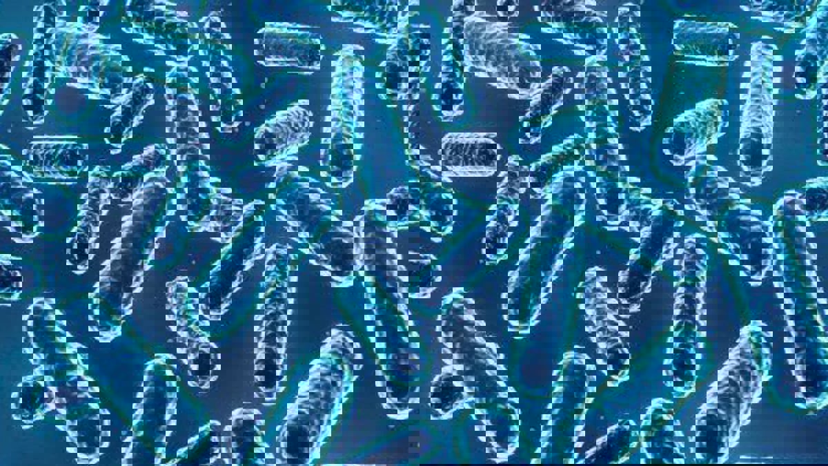 عقار جديد لمحاربة 300 نوع من البكتيريا المقاومة للمضادات الحيوية‎‎