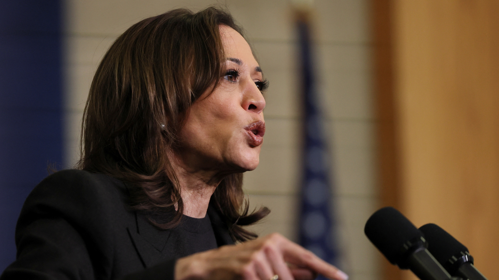 هاريس: الأمريكيون يريدون رئيساً "يصون" اقتصادهم