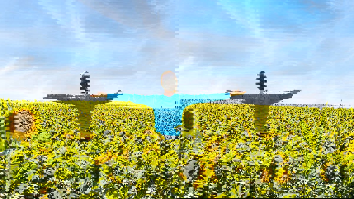 كيف تستعيد إحساسك بالسلام الداخلي؟