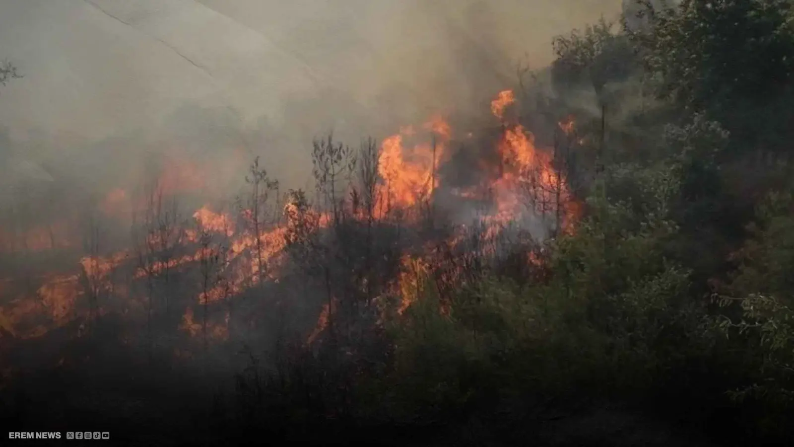 حرائق سوريا