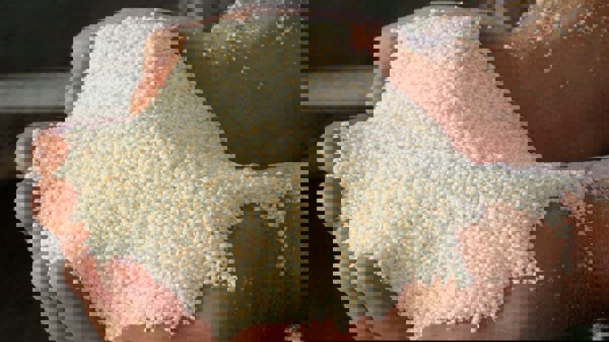 ارتفاع معدلات الانتحار بـ""نترات الصوديوم" عالميا .. و"أمازون" متهمة