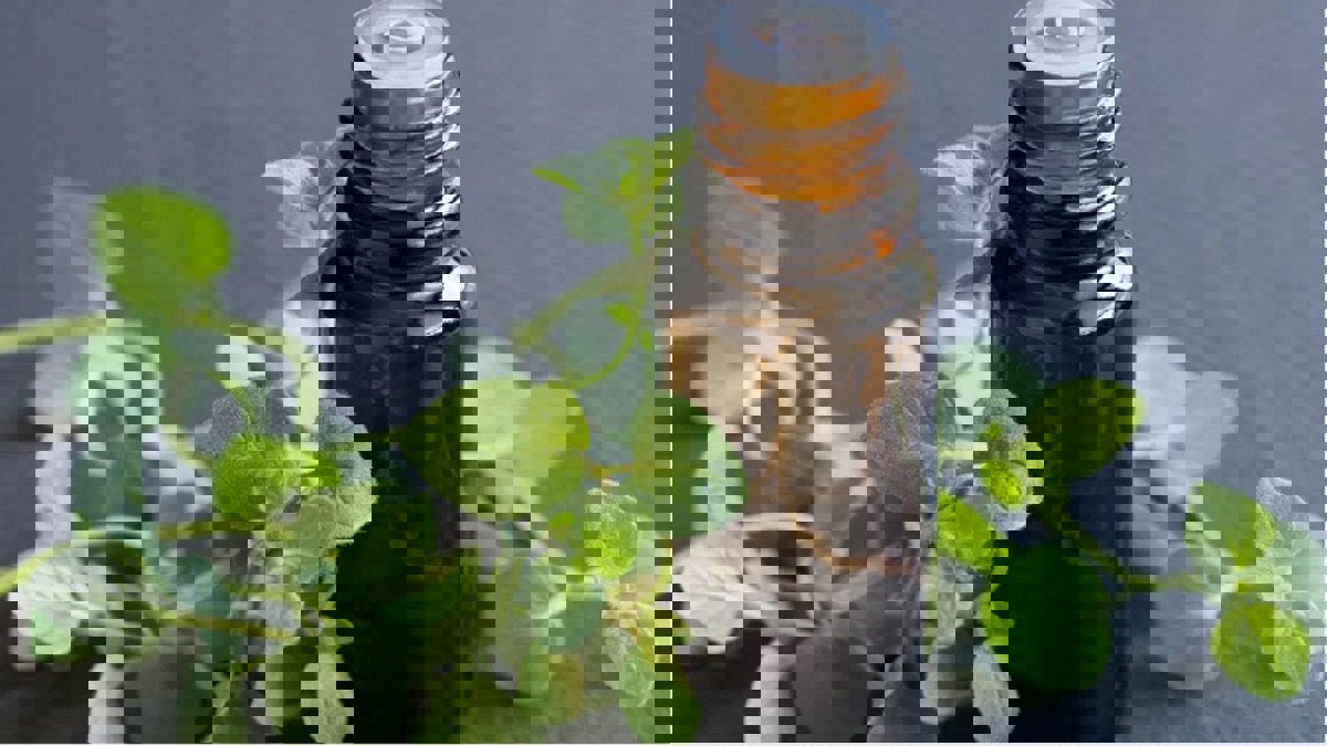 هل يمكن علاج فيروس كورونا بزيت الأوريغانو؟