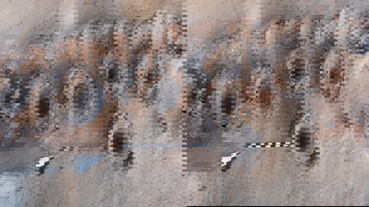 مصر.. اكتشاف أقدم مصنع لإنتاج الجعة في العالم‎ (صور)