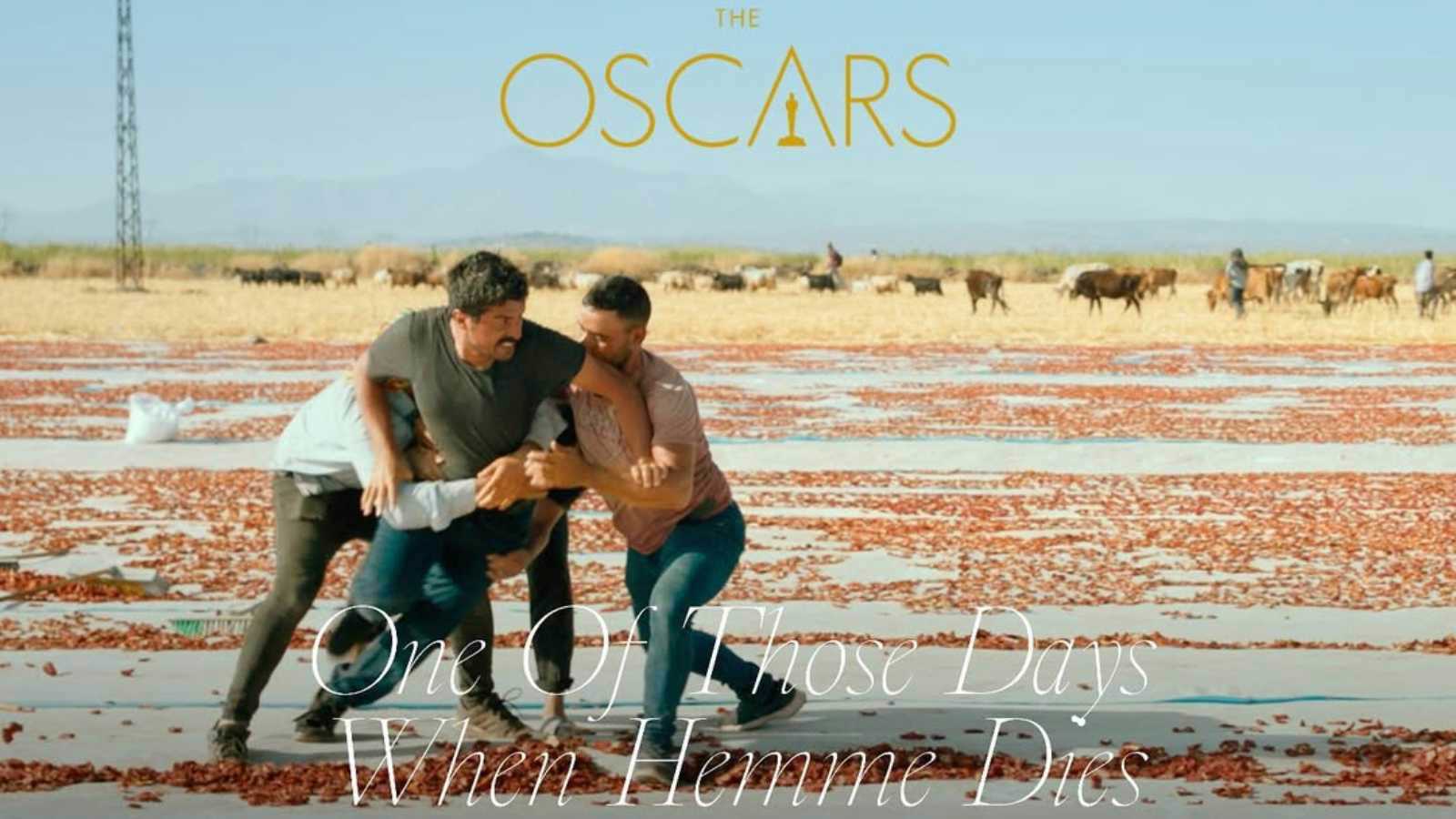 تركيا ترشح One of Those Days When Hamme Dies للأوسكار.. إليك قصته